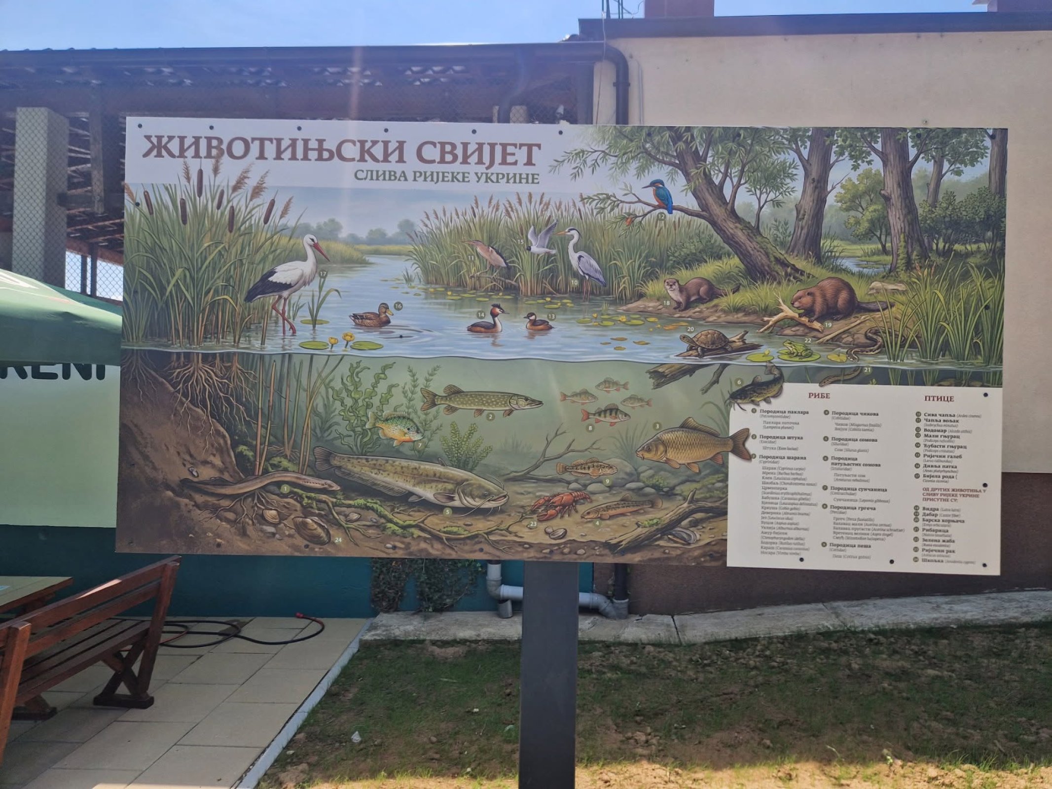 Укрина кроз нове едукативне табле